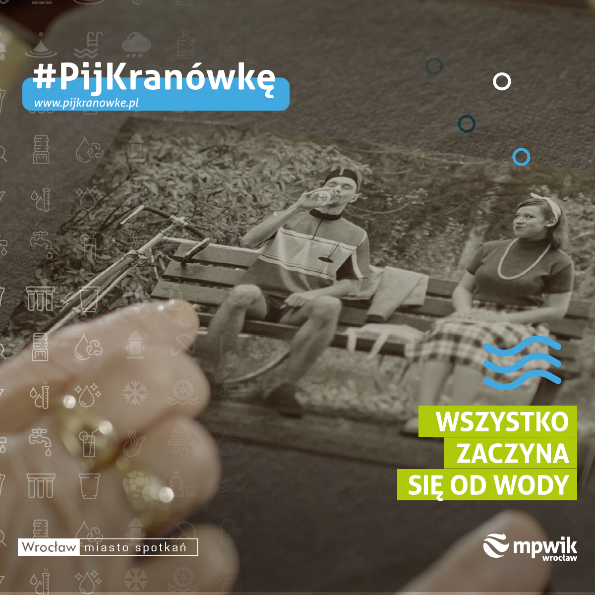 pij kranówkę Wrocław
